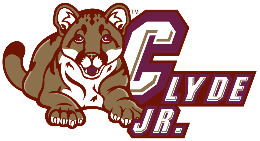 College of Charleston Cougars 2003-2008 Mascot Logo diy iron on heat transfer